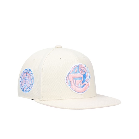 💚 Vancouver Grizzlies Mitchell & Ness Hardwood Classics Cake Pop Fitted Hat - Picture 1 of 16
